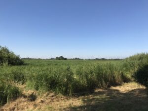 Zomervakantie 2018 (11)