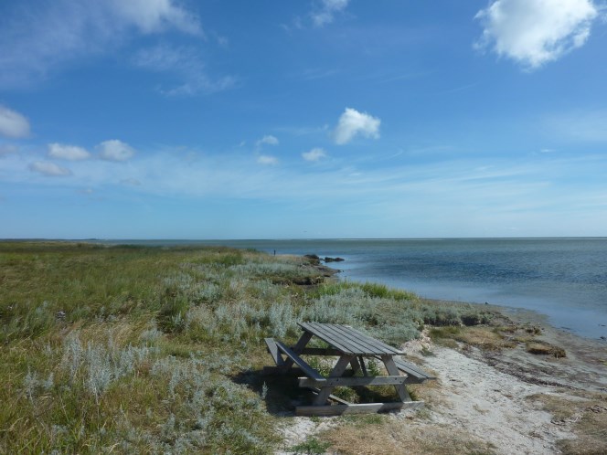 Zomervakantie 2018 (117)