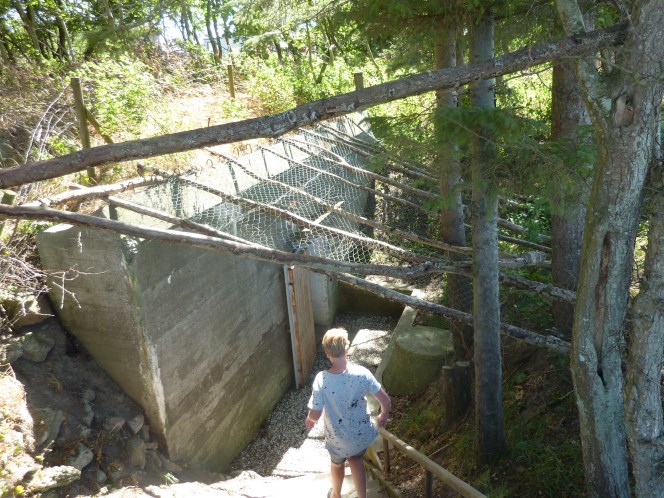 Zomervakantie 2018 (126)