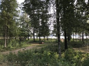 Zomervakantie 2018 (17)