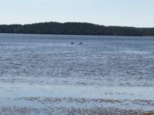 Zomervakantie 2018 (18)