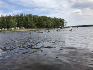 Zomervakantie 2018 (39)