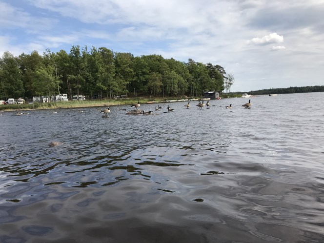 Zomervakantie 2018 (39)