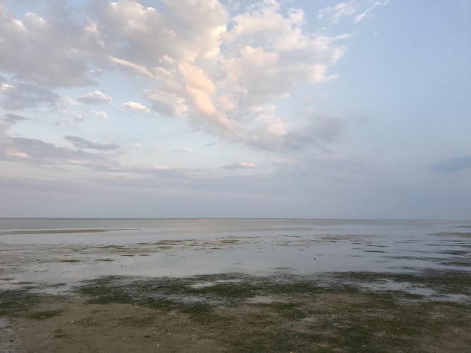 Zomervakantie 2018 (47)