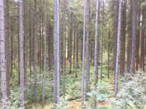 Zomervakantie 2018 (9)